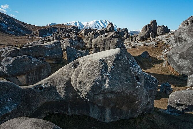 Private Guided Activity From Christchurch to Castle Hill/Kura Tawhiti - Pricing and Booking