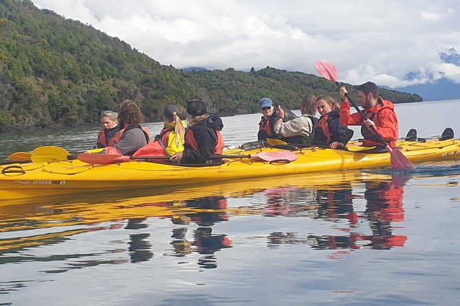 Private Guided Activity In Glenorchy Island Safari - What to Expect