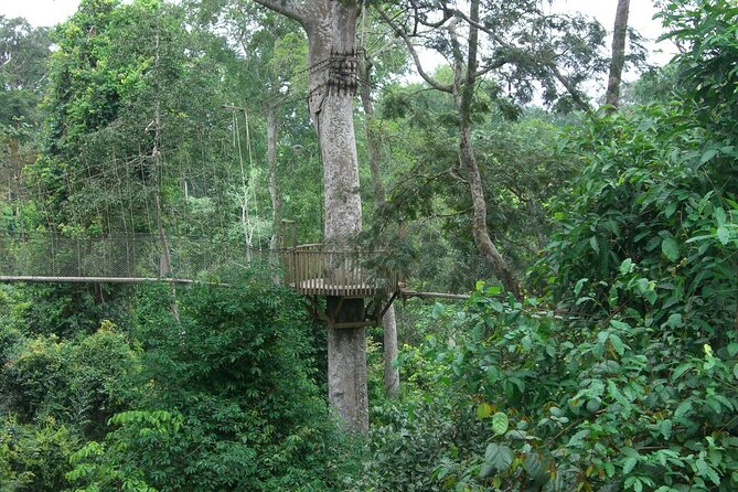 Private Guided Adventure in Cape Coast - The Sum Up