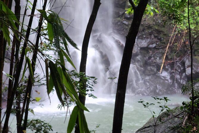 Private Guided Adventure in Nadi with Pick-up - What Does the Tour Include?