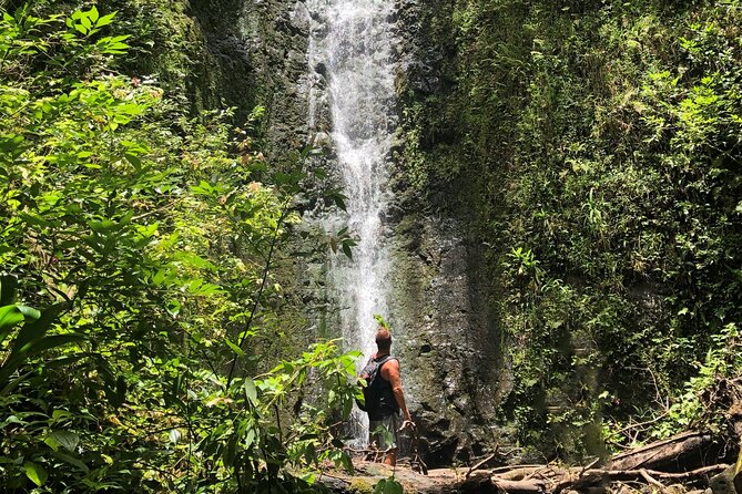 Private Guided Adventure With Jungle Waterfalls - Good To Know