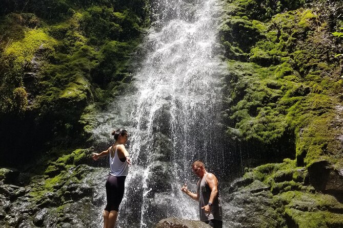 Private Guided Adventure With Jungle Waterfalls - Discover Hidden Gems in the Rainforest