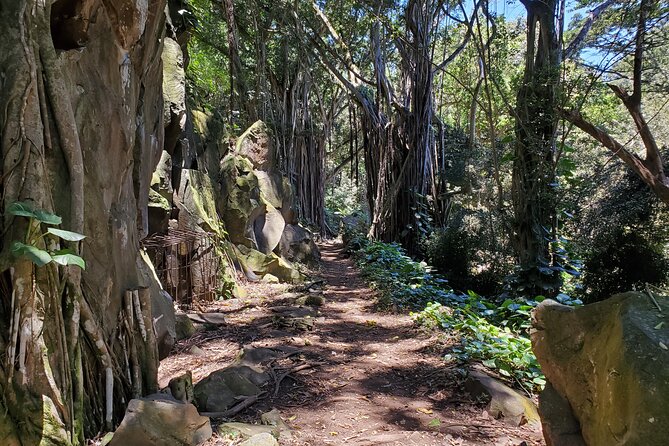 Private Guided Adventure With Jungle Waterfalls - Dive Into Crystal Clear Pools