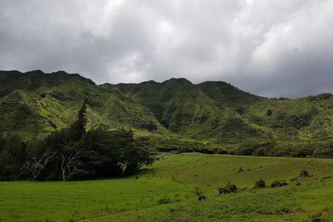 Private Guided Adventure With Jungle Waterfalls - Enjoy a Private Guided Tour