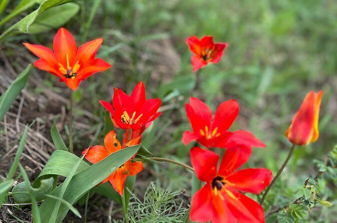 Private Guided Alamedin Gorge Tour - What Real Travelers Say