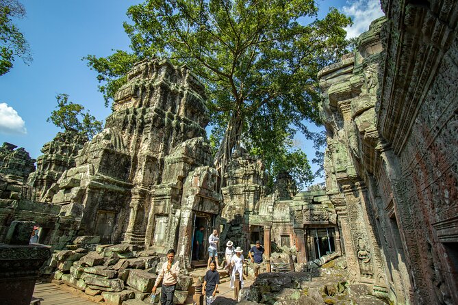 Private Guided Angkor Temples Tour With Lunch Included - Traveler Reviews and Testimonials