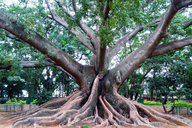 Private Guided Bangalore Experience - The Value of the Tour