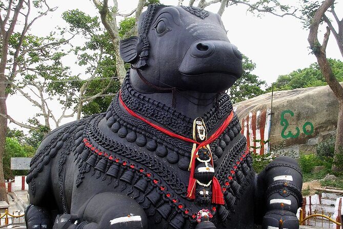 Private Guided Bangalore Experience - Final Thoughts