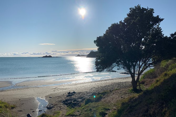 Private Guided Best of Waiheke Island - Best Beaches on Waiheke Island