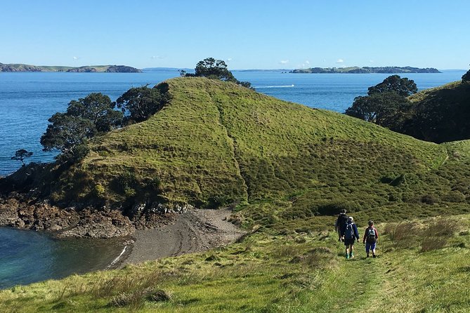 Private Guided Best of Waiheke Island - Top Vineyards and Wineries to Visit