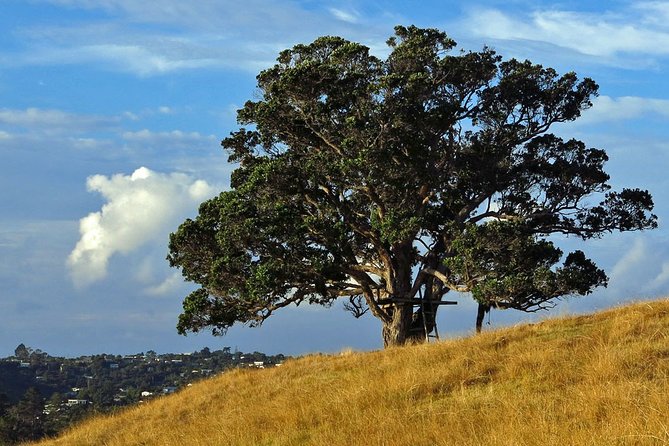 Private Guided Best of Waiheke Island - Delicious Food and Dining Experiences