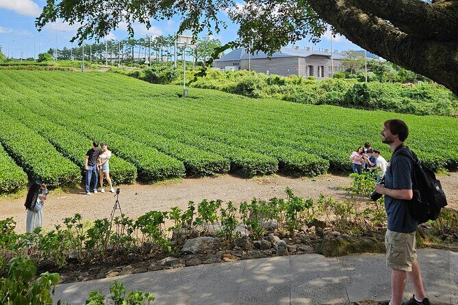 Private Guided Car Tour in Jeju Island - FAQs