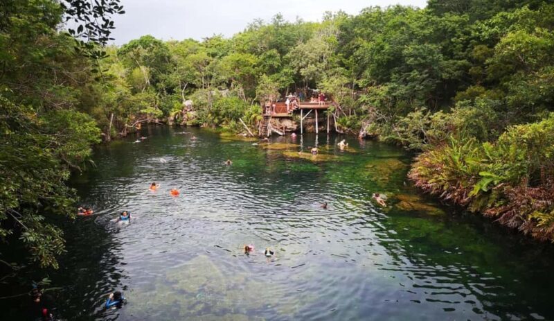 Private Guided Cave & Open Cenote Swim with Lunch - The Practical Aspects
