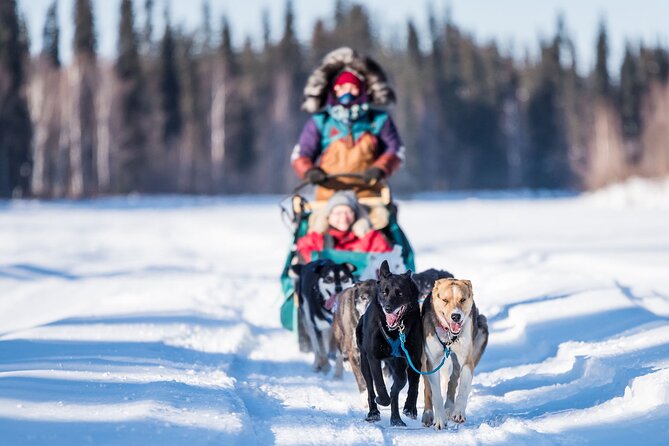 Private Guided Chena River Mush Dream Vacation in Fairbanks - Unforgettable Scenery and Photo Opportunities