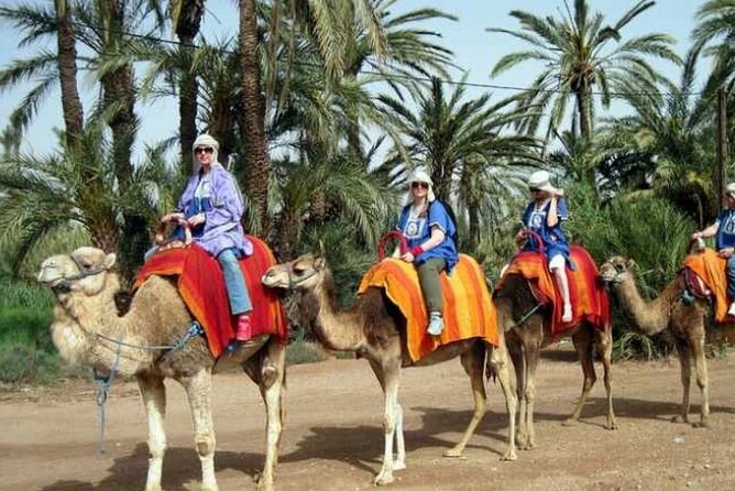Private Guided City Tour to Discover The Medina or Old Town of Marrakech - Tour Overview