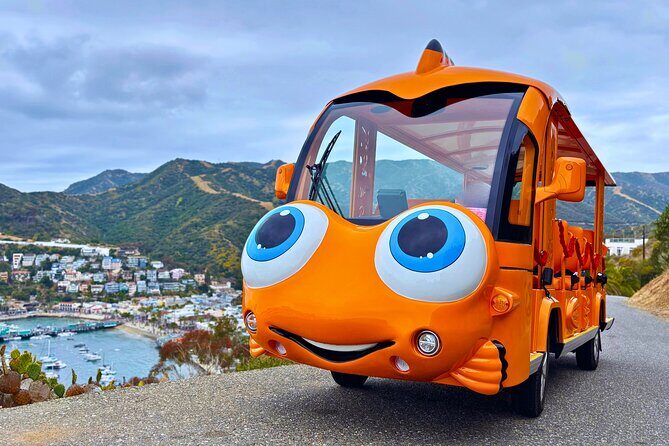 Private Guided City Tour up to 12 Passengers - An In-Depth Look at the Experience