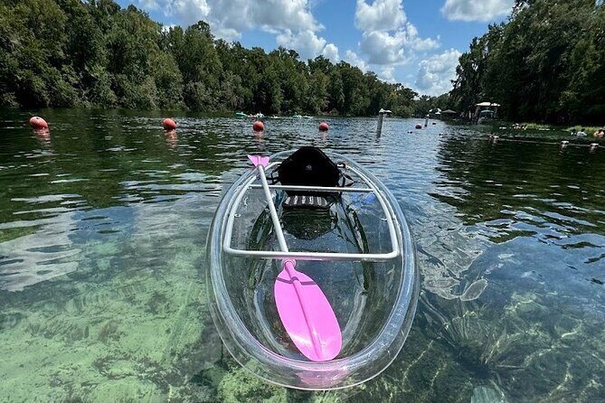 Private Guided Clear Kayak/Paddleboard Rentals on Rainbow River - What to Expect from the Rainbow River Kayaking Experience