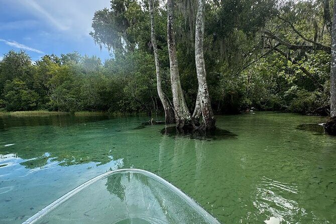 Private Guided Clear Kayak/Paddleboard Rentals on Rainbow River - The Experience: From Paddling to Snorkeling