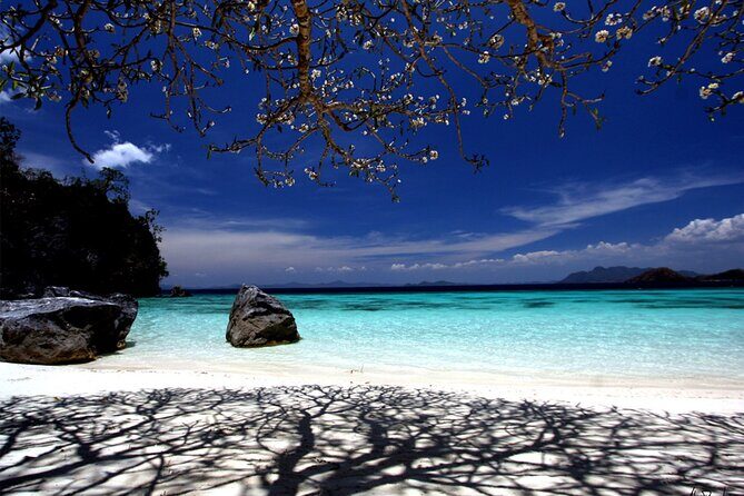 Private Guided Coron Island Eco-Adventure - Who Should Consider This Tour?