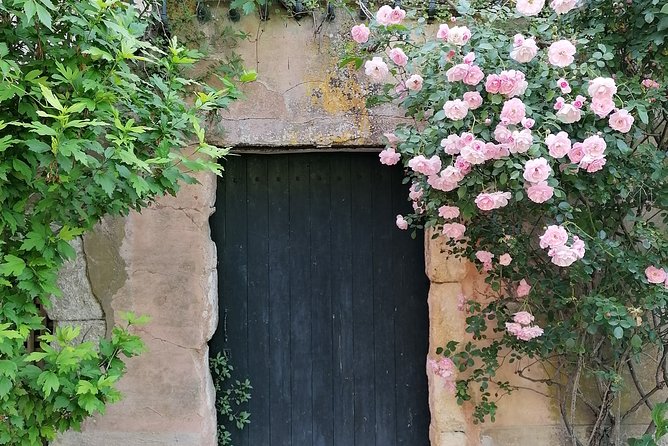 Private Guided Day Trip to the Luberon Villages - Pricing and Booking Details
