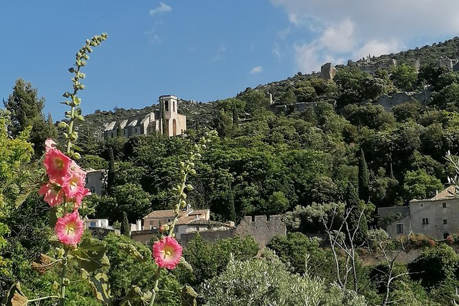 Private Guided Day Trip to the Luberon Villages - Common Questions