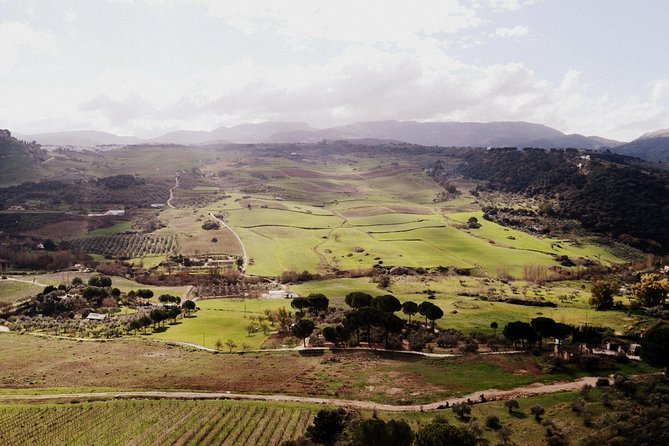 Private Guided Day Trip to the White Villages and Ronda From Seville - Traveler Photos and Reviews