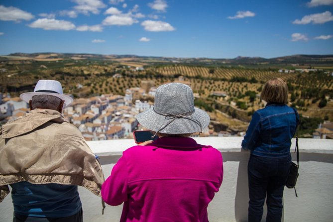 Private Guided Day Trip to the White Villages and Ronda From Seville - Positive Reviews About the Tour Guides