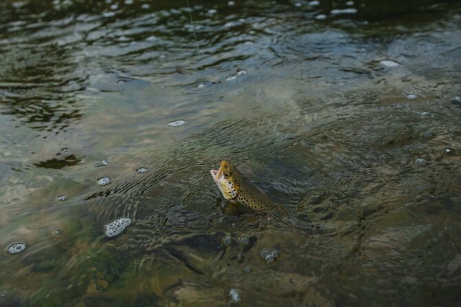 Private Guided East Zion Fly Fishing - Cancellation Policy for the East Zion Fly Fishing Experience