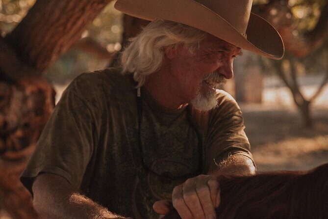 Private Guided Equine Meditation in Baja California - Good To Know