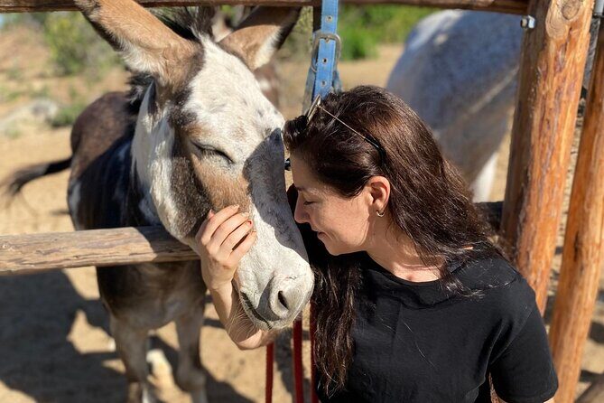 Private Guided Equine Meditation in Baja California - Who Should Book This Tour?