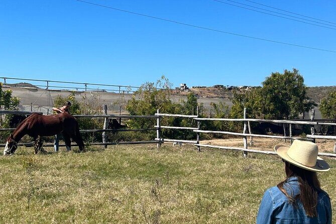 Private Guided Equine Meditation in Baja California - The Sum Up