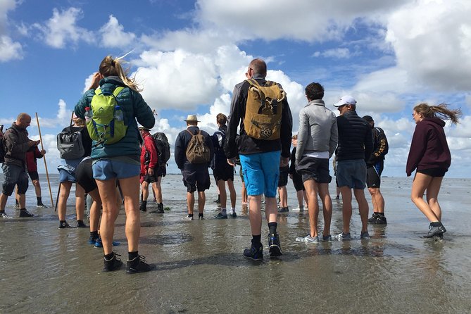 Private Guided Full-Day Customizable Tour of Holland From Amsterdam - Tour Highlights and Positive Reviews