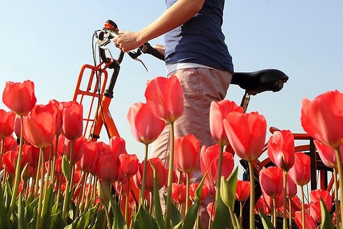 Private Guided Full-Day Customizable Tour of Holland From Amsterdam - Tour Details and Additional Information