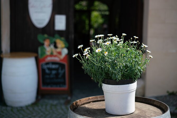 Private Guided Full Day Tour to Charming Burgenland Region With Wine Tasting - Pricing and Value for Money