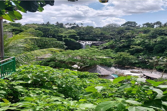 Private Guided Full Day Ubud Tour - Tour Pricing