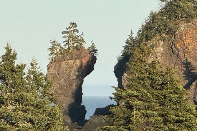 Private Guided Fundy Tour in Saint John - Good To Know