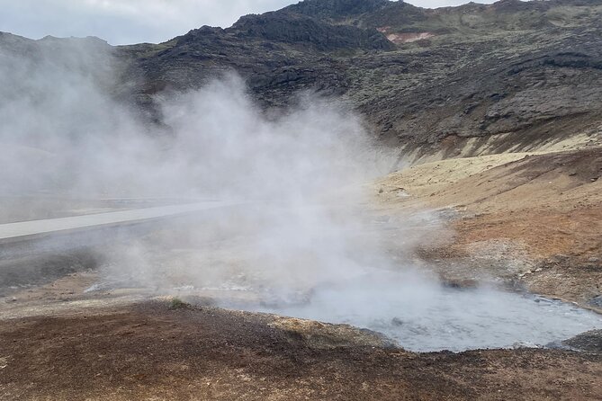 Private Guided Golden Circle Tour in Iceland - Customer Testimonials