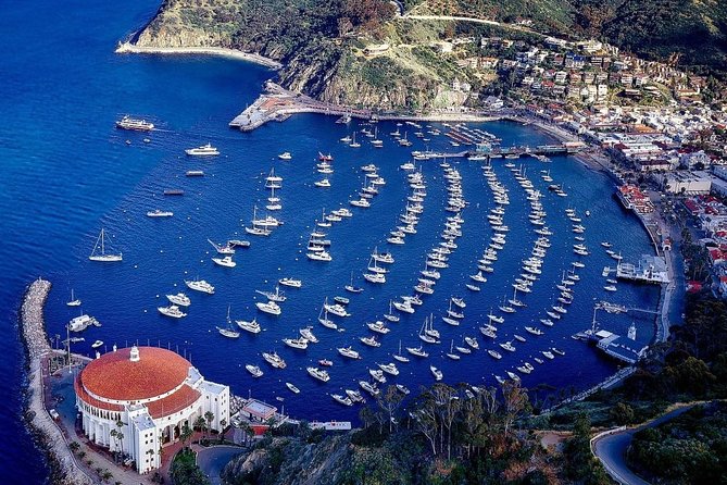Private Guided Golf Cart Tour of Avalon - Inclusions and Highlights