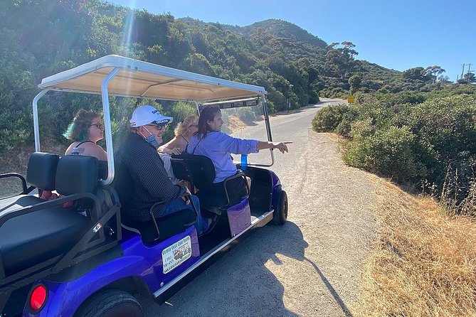 Private Guided Golf Cart Tour of Avalon - Booking Information