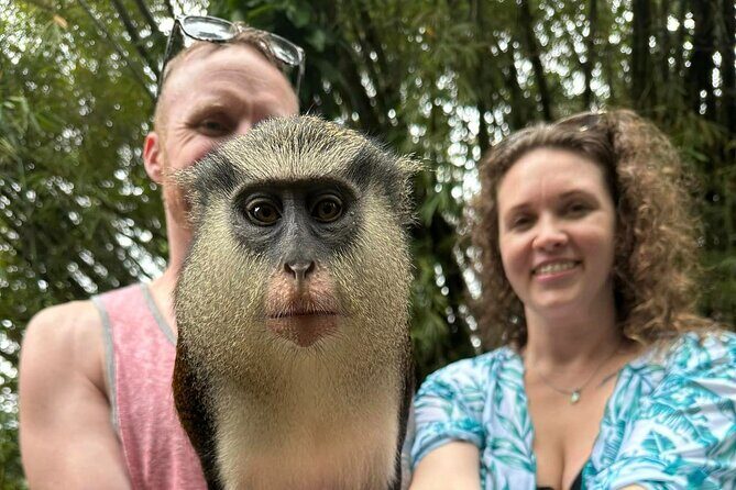 Private Guided Grenada Island Tour "BY THE HOUR" - Deep Dive: What’s on the Itinerary?