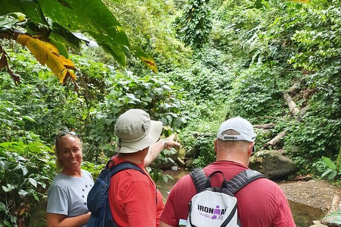 Private Guided Grenada Island Tour "BY THE HOUR" - Authenticity and Personal Touch