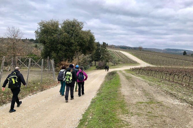 Private Guided Half-Day Tour to the Certosa of Florence - Start Time