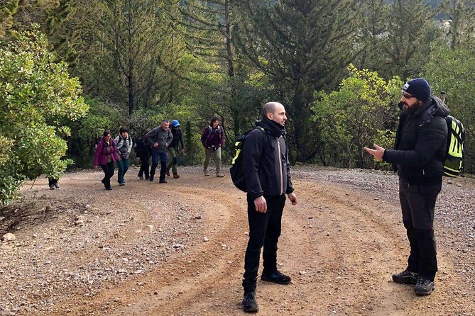 Private Guided Half-Day Tour to the Certosa of Florence - Additional Info