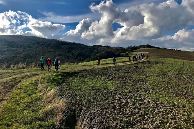 Private Guided Half-Day Tour to the Certosa of Florence - Booking Information