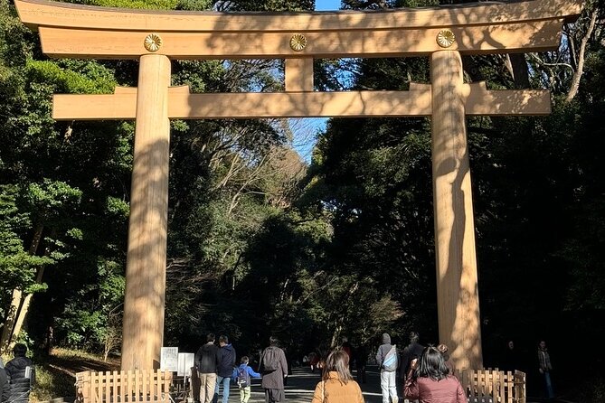 Private Guided Half Day Walking Subway Tour in Tokyo - Weather Conditions