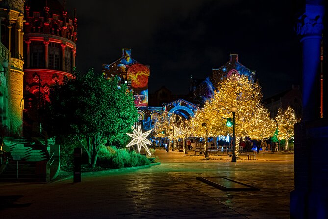 Private Guided Highlights & Christmas Tour in Barcelona - Inclusions
