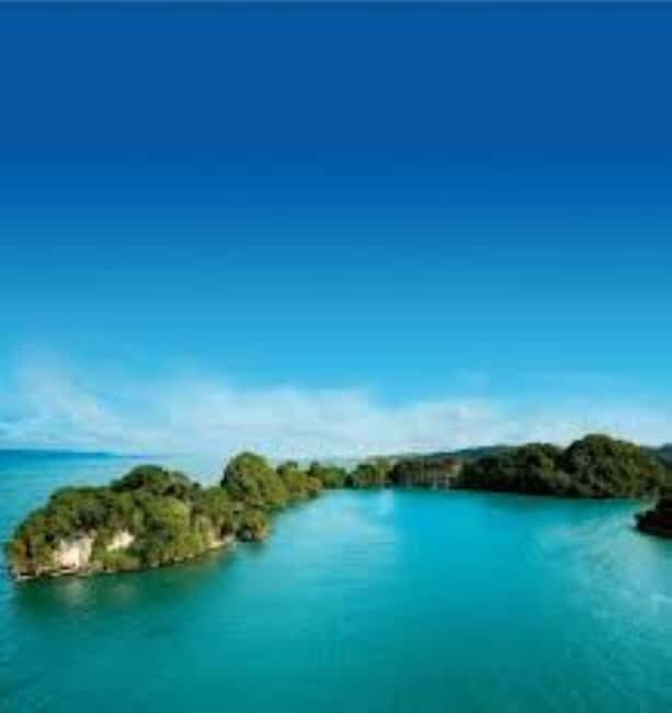 Private: Guided Hike and Kayak Adventure from Boca Chica - Authentic Insights from Past Travelers