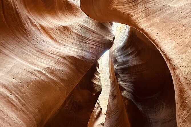 Private Guided Hike Through Buckskin Gulch Wire Pass - What to Expect from the Buckskin Gulch and Wire Pass Adventure