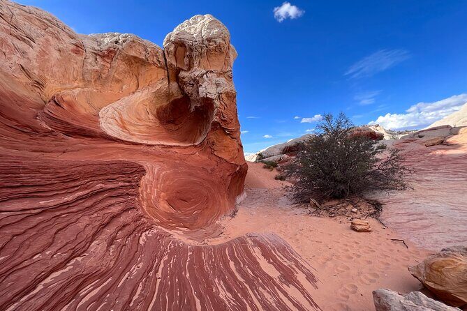 Private Guided Hike through White Pocket Off Road Activity - The Sum Up