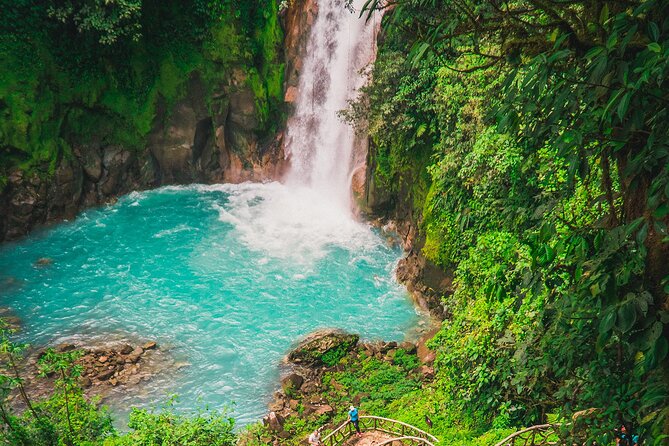 Private Guided Hike to Rio Celeste in Tenorio Volcano NP  - La Fortuna - Traveler Reviews